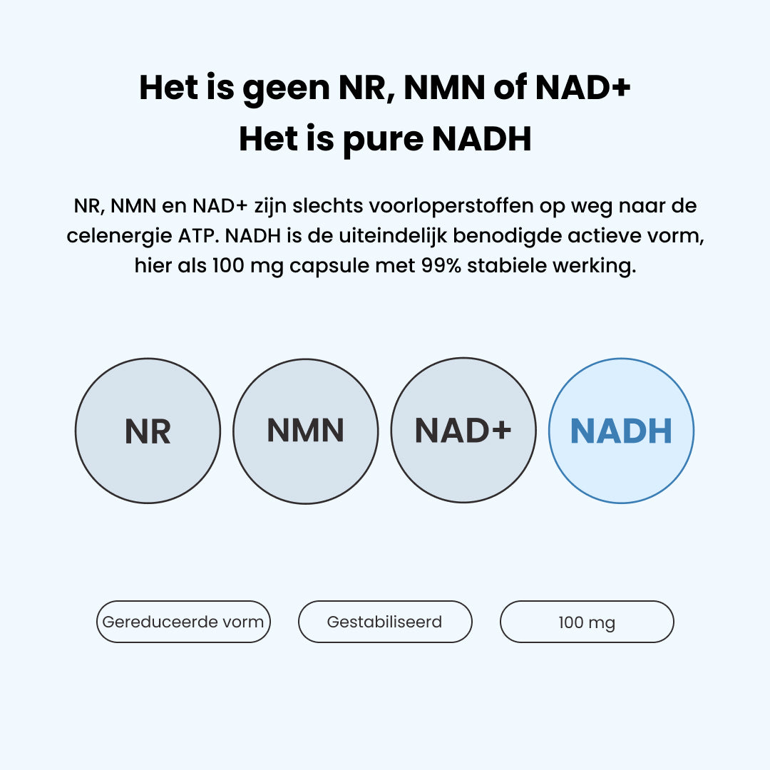 Pure NADH 100 mg Capsules