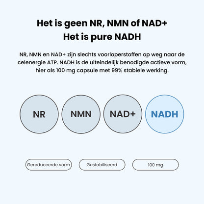 Pure NADH 100 mg Capsules